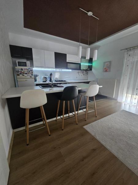 Op de foto is het object Apartman Nia te zien, gelegen in de stad Ribić.