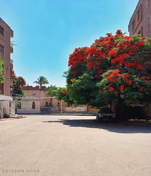 Nella foto è visibile l'oggetto Gflat situato nella città di Il Cairo.