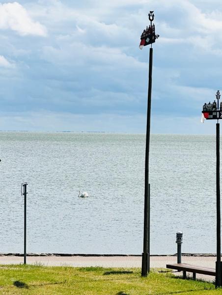 A la foto es mostra l'objecte Apartamentai ant marių kranto situat a la ciutat de Neringa.