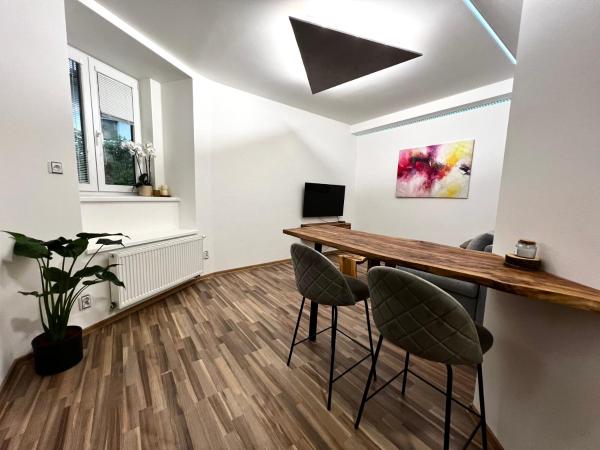 Na fotografii je vidět objekt Palackého Lobby Apartment nacházející se ve městě Olomouc.