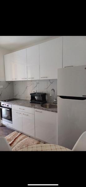 A la foto es mostra l'objecte Vila Ena situat a la ciutat de Jankovići.