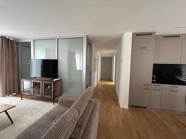 En la foto se muestra el objeto Cozy Modern Charm in Winterthur ubicado en la ciudad de Winterthur.
