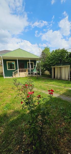 Green villa