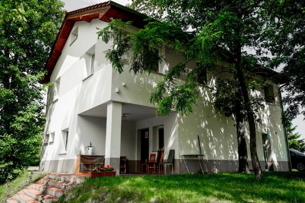 Nella foto è visibile l'oggetto Leśny Dworek situato nella città di Dobroszów Mały.