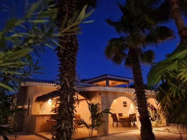 13 Palm Tree, Kralendijk