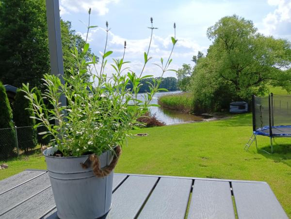 Kuvassa näkyy kohde Domek I nad jeziorem OSTOJA Mrągowo-Krzywe mazury, joka sijaitsee kaupungissa Krzywe.
