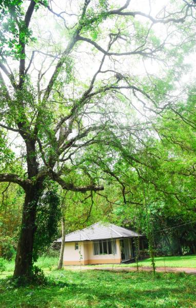 Στη φωτογραφία φαίνεται το αντικείμενο Debaraliyadda Estate που βρίσκεται στην πόλη Pannala.