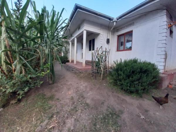 На фото показан объект RNiyonzima Homesstay, расположенный в городе Nyarusiza.