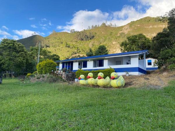 A la foto es mostra l'objecte Casa los patos Choachi situat a la ciutat de Choachí.