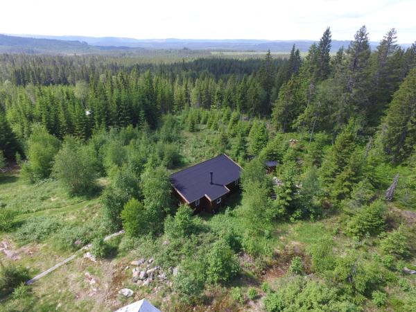 A la foto es mostra l'objecte Cozy forest cabin with amazing mountain view situat a la ciutat de Mörbacka.