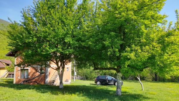 The photo shows the Vikendica Davidović located in the city of Gornji Ribnik.