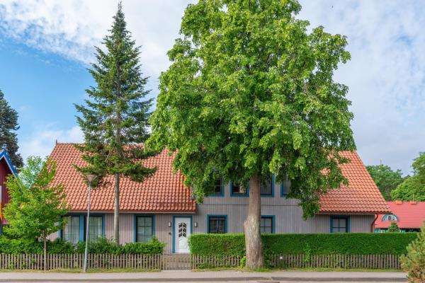 Egidijaus Vila, Nido