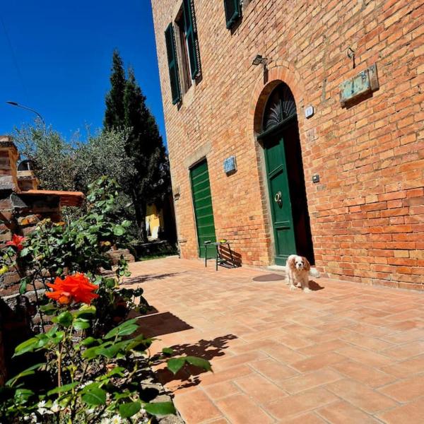 Appartamento Rosa Blu - San Casciano dei Bagni