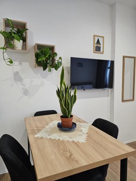 Apartment's City Center Aquilo - 地拉那