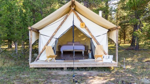 На фото показан объект Yellowstone Safari Camp, расположенный в городе Айленд-Парк.