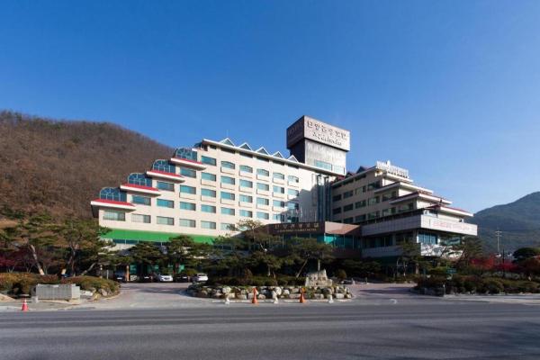 En la foto se muestra el objeto Danyang tourist hotel Edelweiss ubicado en la ciudad de Sainam-ni.