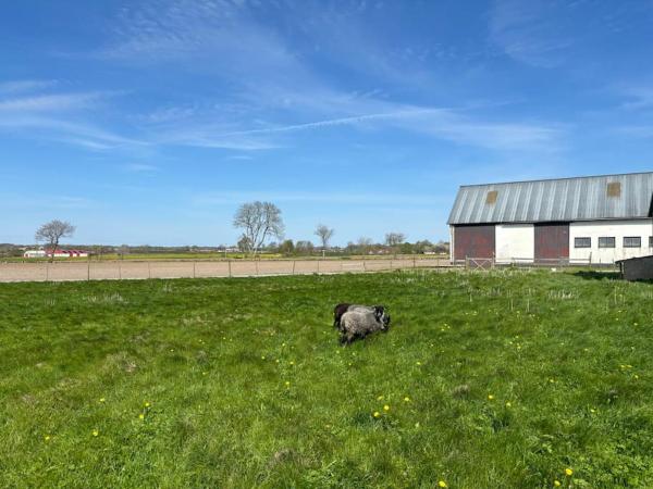 Na zdjęciu widoczny jest obiekt Österlen Oasis położony w mieście Onslunda.