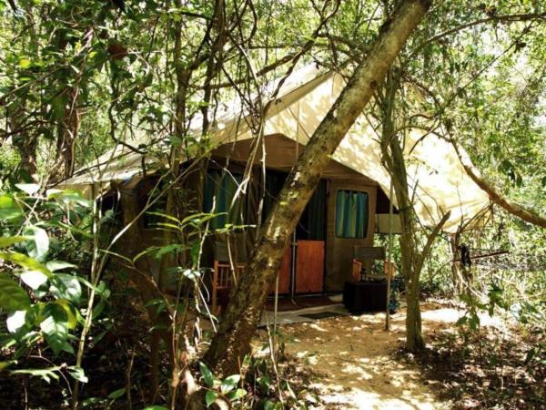 Foto 1: Explorer by Eco Team - Dambana