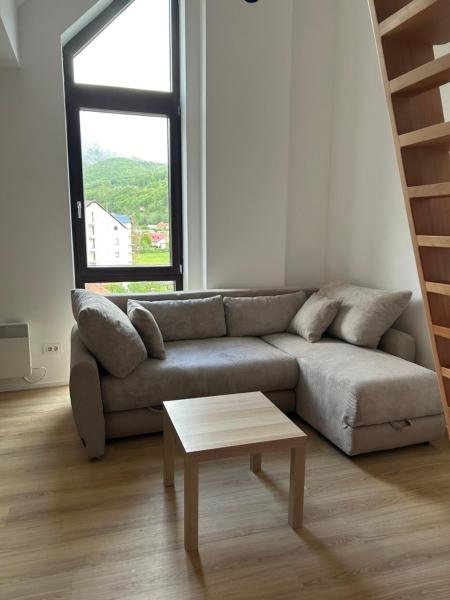 A la foto es mostra l'objecte AniMer Apartment situat a la ciutat de Kolašin.