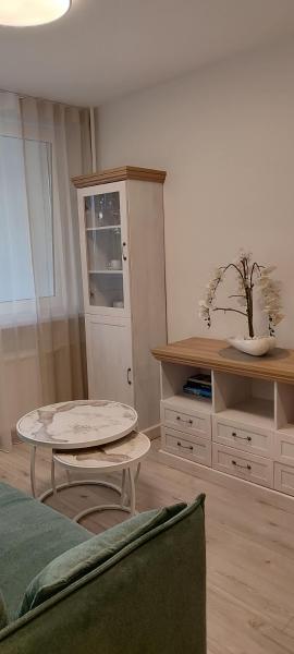 A la foto es mostra l'objecte Cozy Kaunas apartment situat a la ciutat de Smiltynai.