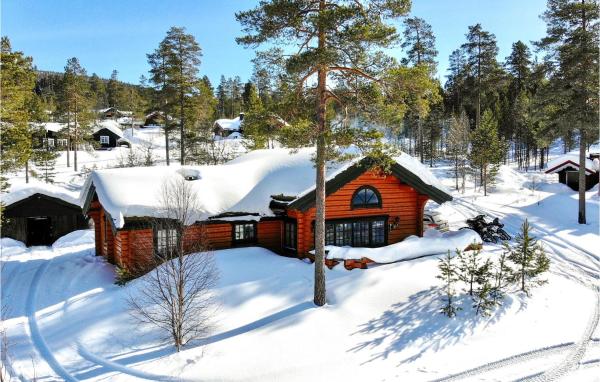 A la foto es mostra l'objecte 4 Bedroom Beautiful Home In Sälen situat a la ciutat de Stöten.