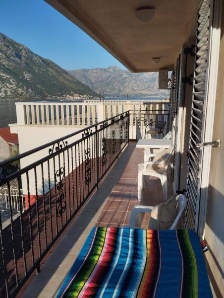 Amarillys - Montenegro