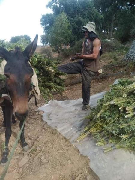 A la foto es mostra l'objecte KETAMA home stay situat a la ciutat de Ketama.