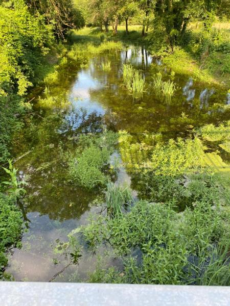 A la foto es mostra l'objecte Le Moulin de Chambon situat a la ciutat de Niherne.