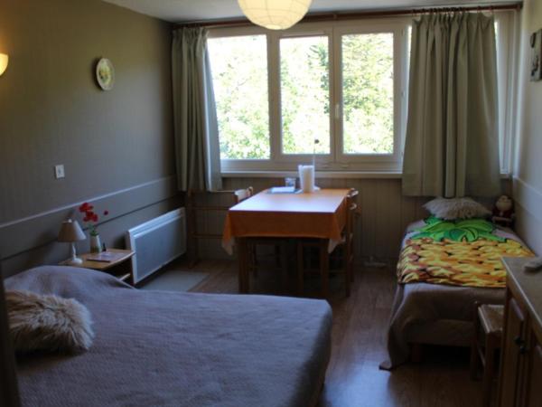The photo shows the Studio cosy 2/3 pers, 200m pistes, wifi, parking, animaux ok - FR-1-787-49 located in the city of Laveissière.