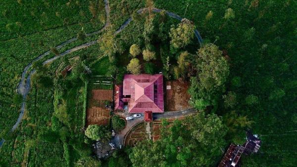 Harris Holiday Inn - Valparai