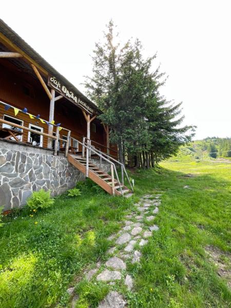 Fotografie 4: Оаза