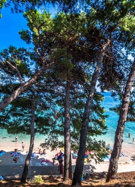 Nella foto è visibile l'oggetto Apartmani Sonja situato nella città di Orebić (Sabbioncello).