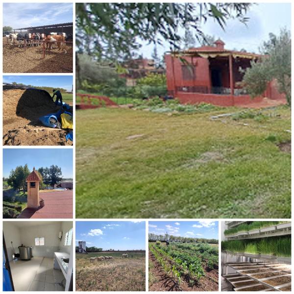 Na fotografii je vidět objekt FermeBao nacházející se ve městě Settat.