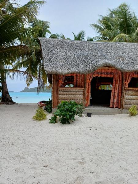 På bilden syns objektet Poemanahere island camping à Maupiti som ligger i staden Atipiti.