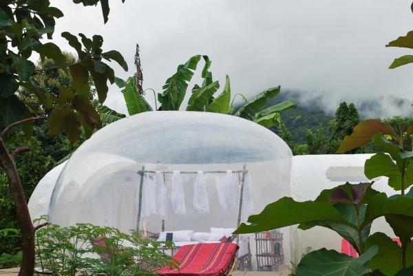 The photo shows the Safari Bubbles located in the city of Wundanyi.