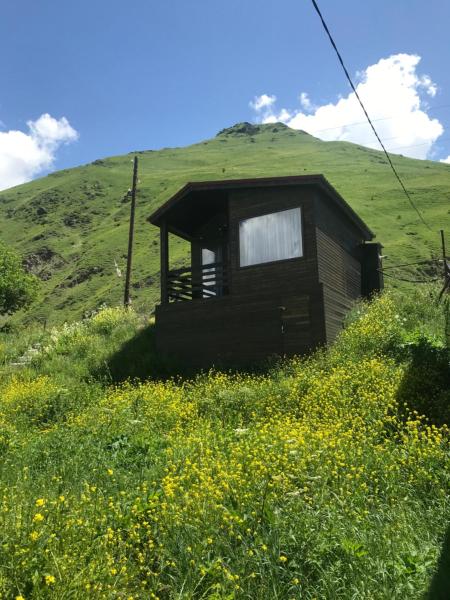 照片显示了位于Akhalts'ikhe市的Sno Cottages Twins物件。