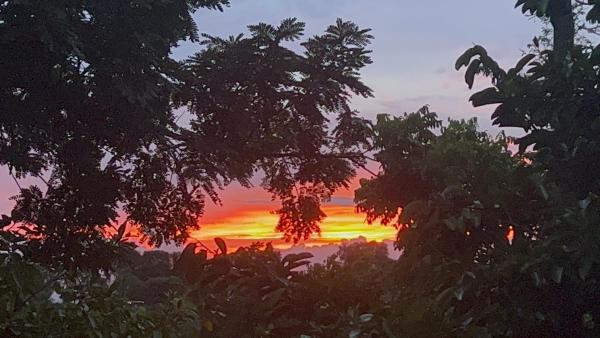 Nella foto è visibile l'oggetto Jungle paradise situato nella città di Ballena.