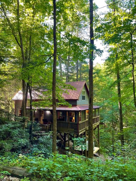 A la foto es mostra l'objecte Cozy Cabin in Red River Gorge situat a la ciutat de Rogers.