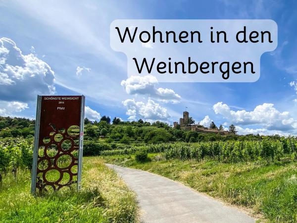 Auf dem Foto ist das Objekt Wohnung in Wachenheim in der Stadt Forst zu sehen.