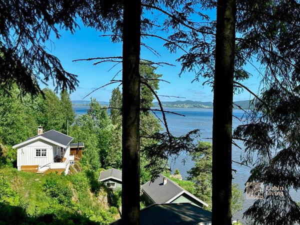 Na fotografii je vidět objekt Close to nature cabin, sauna, Øyeren view, Oslo vicinity nacházející se ve městě Hektner.