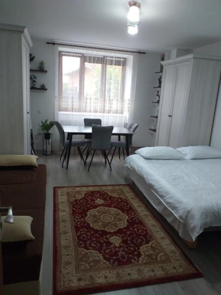 Fully Furnished Studio - Vadu Izei