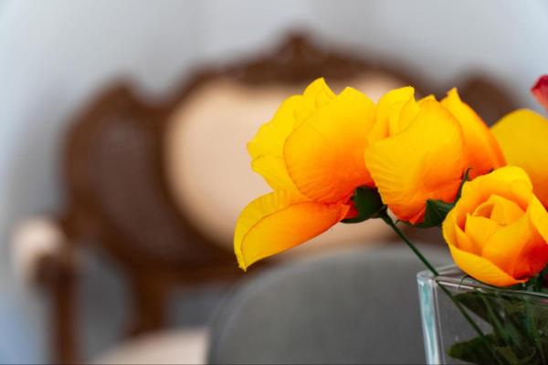 写真にはSinarádes市にあるVilla Angeliqueが写っています。