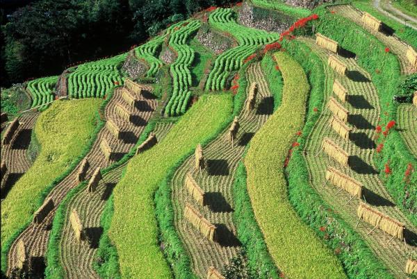 池の山荘的照片8