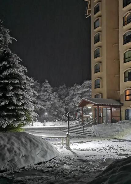 写真にはピント市にあるNevados Chillanが写っています。