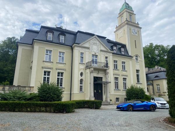 Na zdjęciu widoczny jest obiekt Pałac Borowa położony w mieście Borowa.