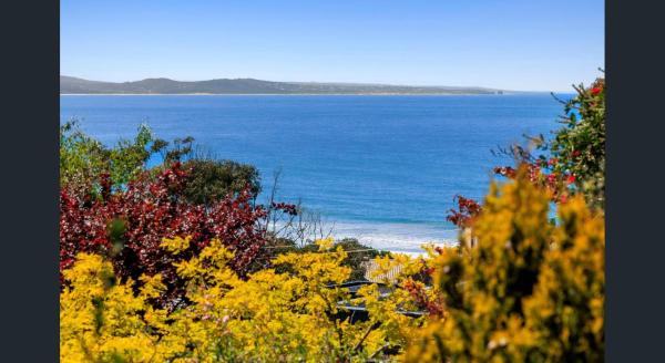 A la foto es mostra l'objecte Fairview Central With A View situat a la ciutat de Lorne.