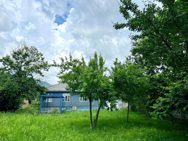 Mountain View Big Garden Guest House in Gabala, Gabala