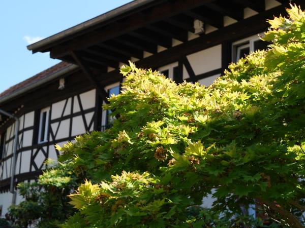 Na foto é possível ver o objeto Les Figuiers localizado na cidade de Hochfelden.