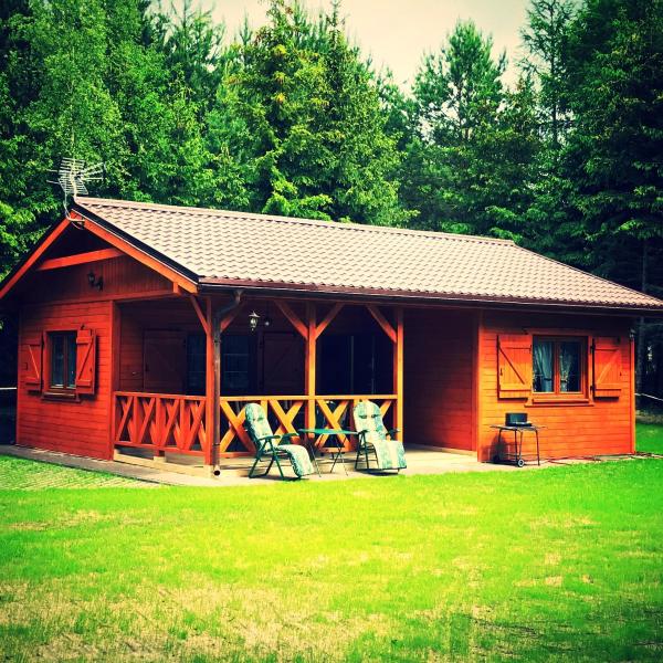 Kuvassa näkyy kohde Leśna Kryjówka- Domki w Borach, joka sijaitsee kaupungissa Lińsk.