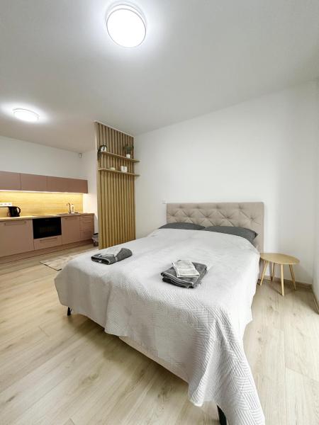A la foto es mostra l'objecte DMR APARTMENTS Rosie situat a la ciutat de Kosice.